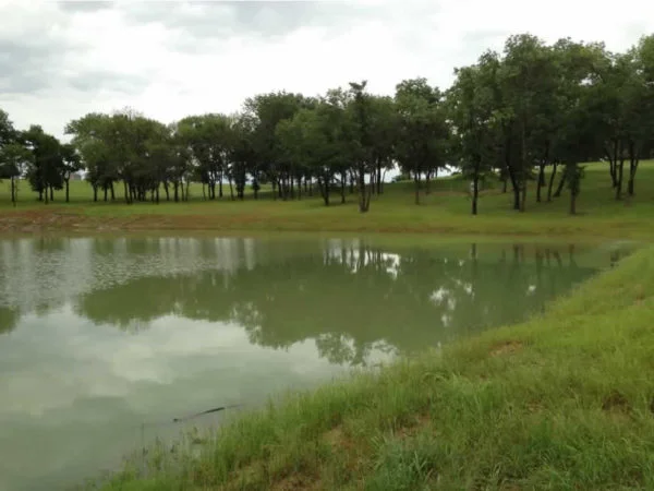 Twin-Ponds-Lake-Texoma-Real-Estate-1-1