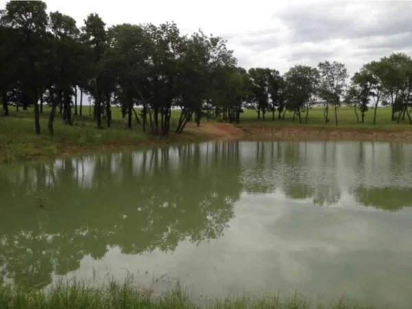 Twin-Ponds-Lake-Texoma-Real-Estate-2-1