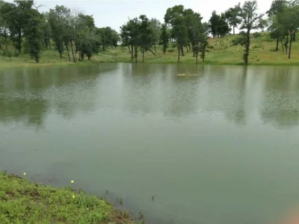 Twin-Ponds-Lake-Texoma-Real-Estate-2