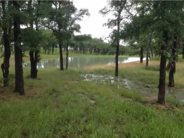 Twin-Ponds-Lake-Texoma-Real-Estate-4-1