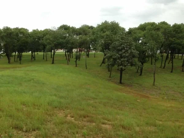 Twin-Ponds-Lake-Texoma-Real-Estate-4-2