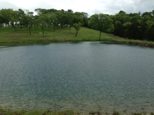 Villas-Pond-Lot