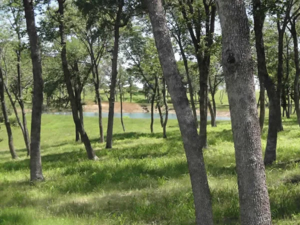 twin_ponds_real_estate_kingston_ok4298