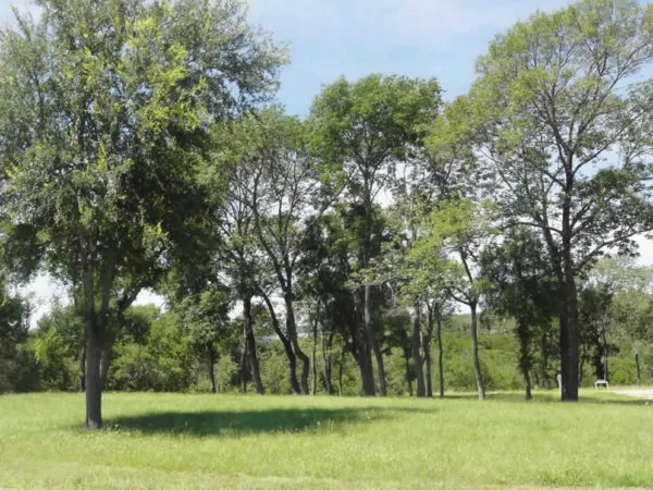 twin_ponds_real_estate_kingston_ok4300