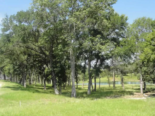 twin_ponds_real_estate_kingston_ok4306