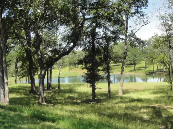 twin_ponds_real_estate_kingston_ok4307