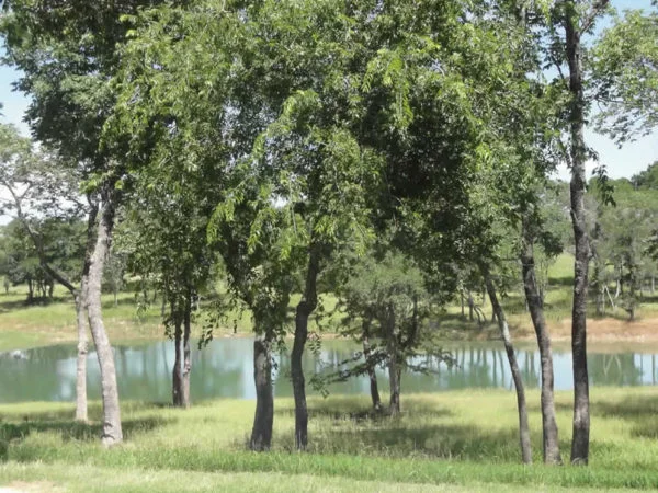 twin_ponds_real_estate_kingston_ok4308
